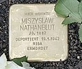 image=https://commons.wikimedia.org/wiki/File:Stolperstein_Kurstr_3_(Schlach)_Miszyslaw_Nathanblut.jpg