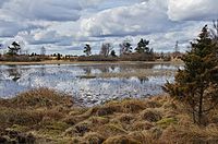 Storesjö och i bakgrunden syns några skärmflygare vid Ållebergs flygfält.