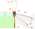 Hình xem trước của phiên bản lúc 09:43, ngày 21 tháng 9 năm 2014