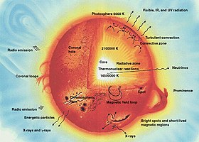 This diagram shows a cross-section of a solar-type star