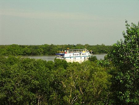 Sundarban