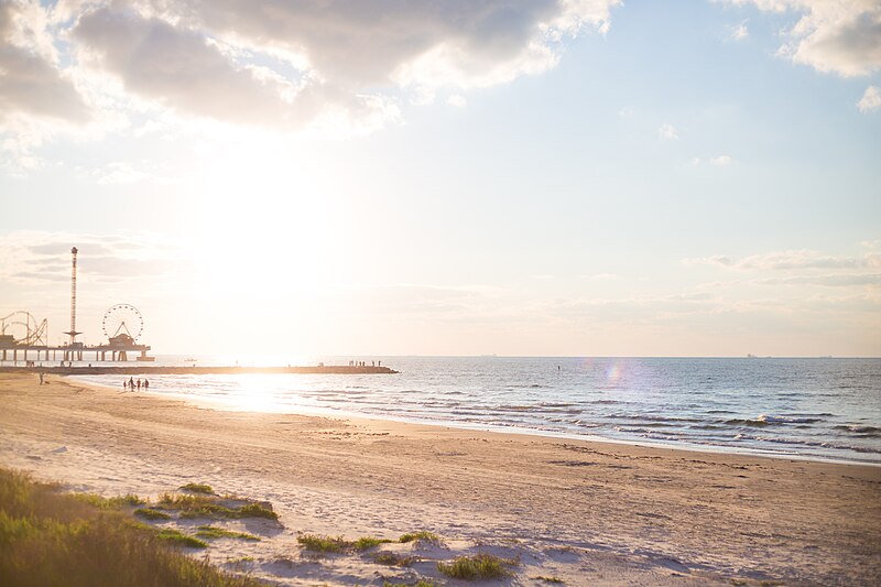 File:Sunrise at the beach shoreline (Unsplash).jpg