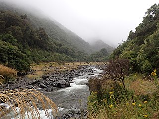 Taramakau River River in New Zealand