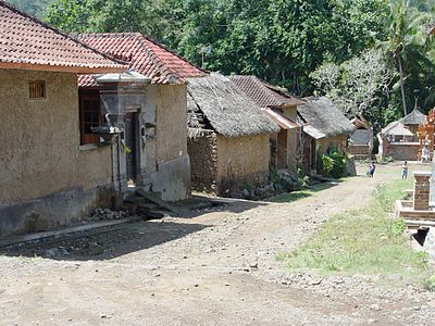 Sebagian rumah adat Tenganan.