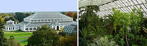Double photographie montrant sur la première une vue d'ensemble de la grande serre anglaise à l'armature blanche Sur la seconde, vue d'un palmier dans la serre au milieu d'une végétation luxuriante.
