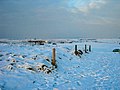 Texel - Paal 9 - Winterview NNE.jpg