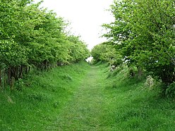 Bagian Tembok Hadrian Jalan mengikuti 'jalur hijau' - geograph.org.inggris - 3502888.jpg