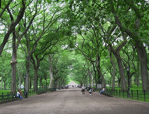 The Mall-Central Park in New York City