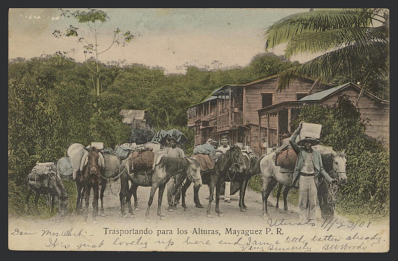 File:Trasportando para los (sic) alturas, Mayagüez.jpg