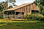 Treasure Hammock Ranch Farmstead