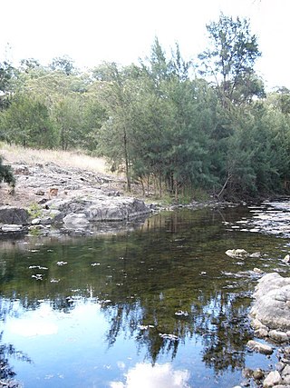 <span class="mw-page-title-main">Turon River</span> River in New South Wales, Australia