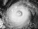 Typhoon amber (1997) concentric eyewalls.gif