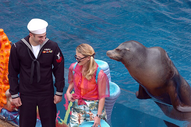 File:US Navy 050319-N-0685S-013 Culinary Specialist 2nd Class Richard Youhan of Yonkers, N.Y., volunteers to participate in Sea World San Diego's new submarine-themed otter and sea lion adventure show, Deep, Deep Trouble.jpg