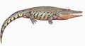 Uralerpeton tverdochlebove 本亜目の最大種。全長2.5メートル