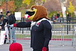 Swoop Utah Utes mascot Swoop - Flickr image 5191658858.jpg