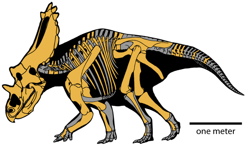 File:Utahceratops gettyi.png