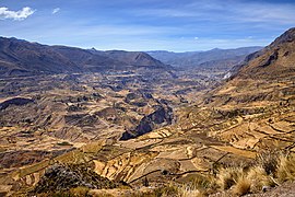 Colca Kanyonu