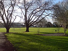 Victoria Park, seen from the southeast. Victoria Park Trees Flowering.jpg