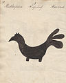 1826 - Danga pentru vitele din Hamba