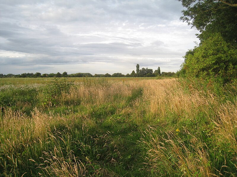 File:View towards Bank End Crossing - geograph.org.uk - 3068889.jpg