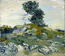 Vincent van Gogh, The Rocks (1888), 54.9 × 65.7 cm.