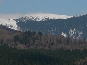 View of the Hohe Heide from the south of Sobotín / Zöptau