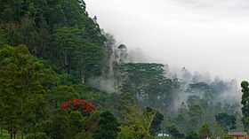 View from Walapane. WalapaneSrilanka-December2013-01.JPG