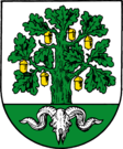 Bergen címere
