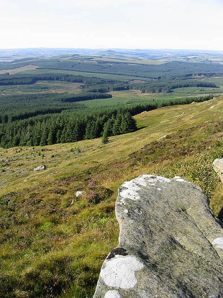 File:Wauchope Forest from Carlin Tooth - geograph.org.uk - 543478.jpg