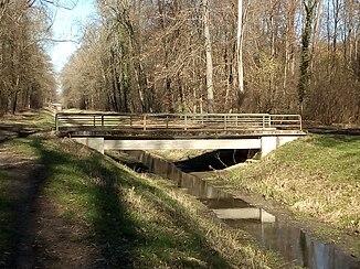 Weidgraben below the Gießbach estuary