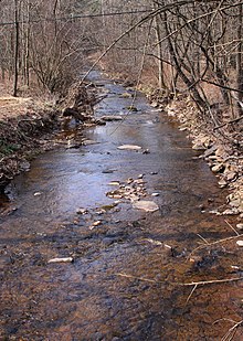 West Branch Little Muncy Creek looking downstream