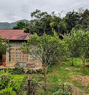 Pekarangan