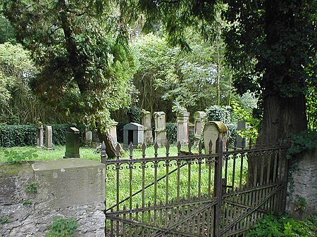 Wimpfen judenfriedhof4