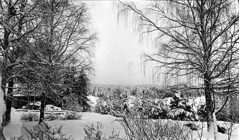 File:Winter in Raivola.jpg