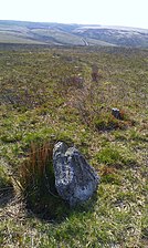 Короткий заостренный камень, торчащий из луга.