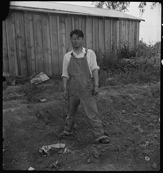 File:Woodland, California. Member of a farm family of Japanese ancestry the day preceding evacuation. H . . . - NARA - 537761.jpg