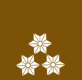 rank insignia Zugsführer in Austria