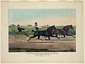 "Centreville" and "Black Douglas"- Centreville Course L.I. July 21st 1853. Match $500 mile heats best 3 in 5 to Wagons LCCN90715721.jpg