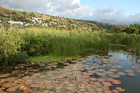 Vue de l'étang de Saint-Paul, à Saint-Paul de La Réunion