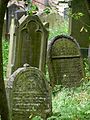 Čeština: Starší náhrobky na židovském hřbitově v Drážkově / Radobylu, okres Příbram, Středočeský kraj. English: Ancient tombstones at the Jewish cemetery in Drážkov, Příbram District, Central Bohemian Region, Czech Republic. This is a photo of a cultural monument of the Czech Republic, number: 35948/2-2444. Památkový katalog  · MIS  · hledat obrázky  · hledat seznamy  · Wikidata