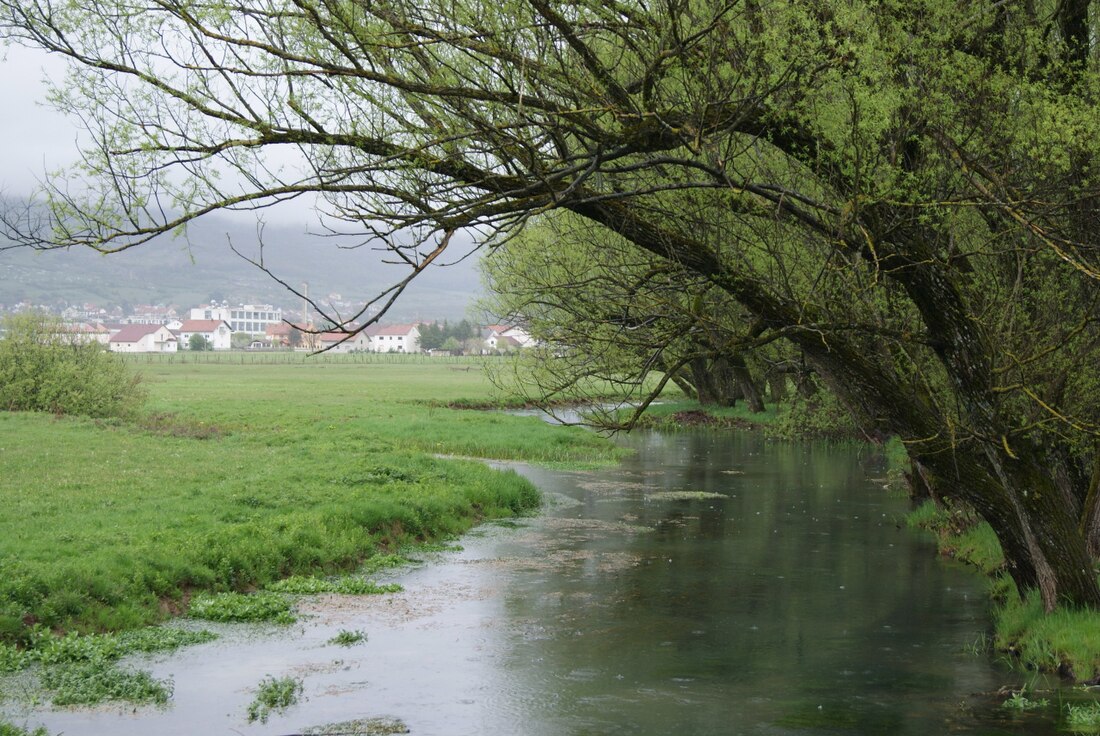 Žabljak (river)