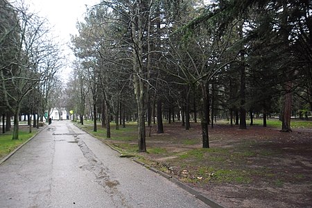 Парк Алушты