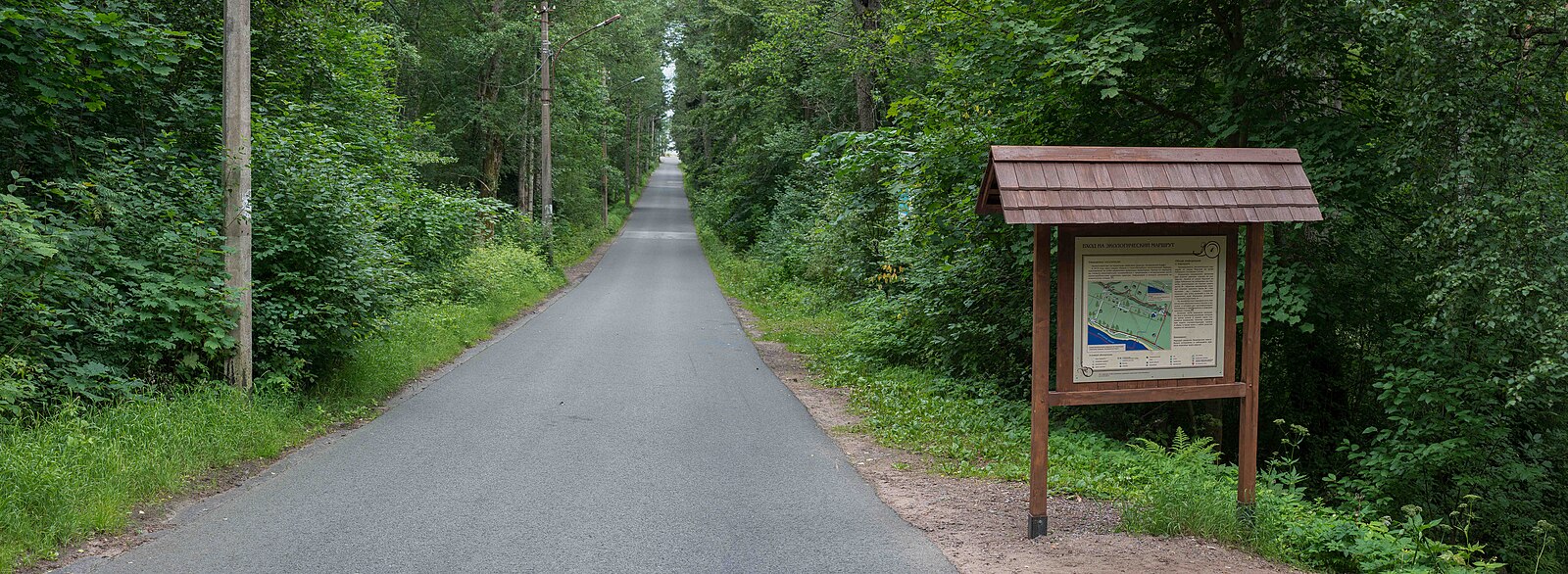 Комаровский берег экологическая тропа фото