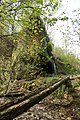 Малієвецький водограй. Фото 6.jpg