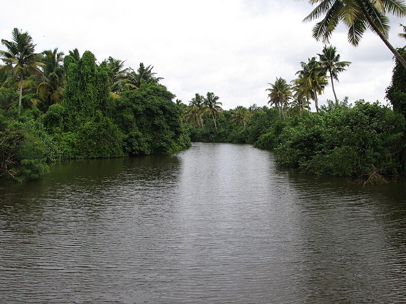 File:താന്തോണിപ്പുഴ.JPG