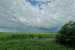 Fields in Terokhada Upazila