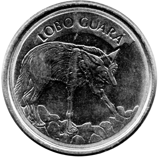File:100-cruzeiros-reais-1994-anverso.png