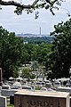 * Nomination: Arlington Cementary, VA - View to Washington D.C. --Ralf Roletschek 10:26, 10 November 2012 (UTC) * * Review needed