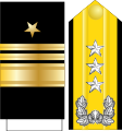 한국 해군 중장 견장과 수장