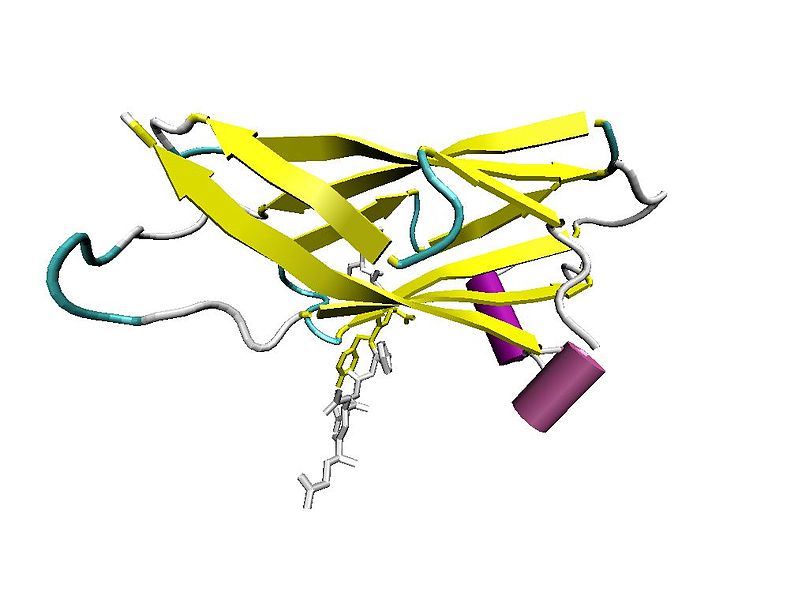 File:1Z90 monomer.jpg